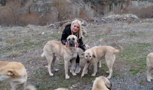 Derya Eylen'den Sokak Hayvanlarına Destek: "Melankolik" Raflarda